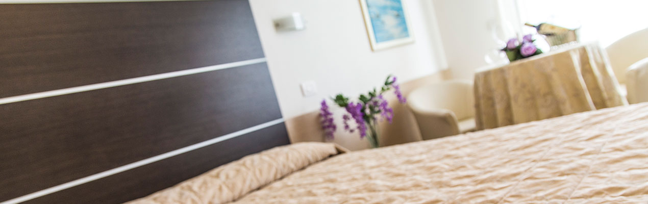 Hotel Renzo Zadina di Cesenatico